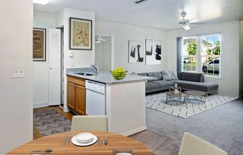 Open & Spacious Floor Plans